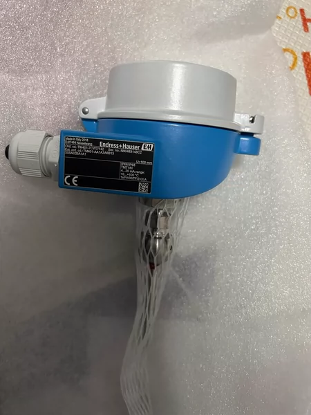 E+H temperature sensor TM401-AA1A3A6B13  Endhaus