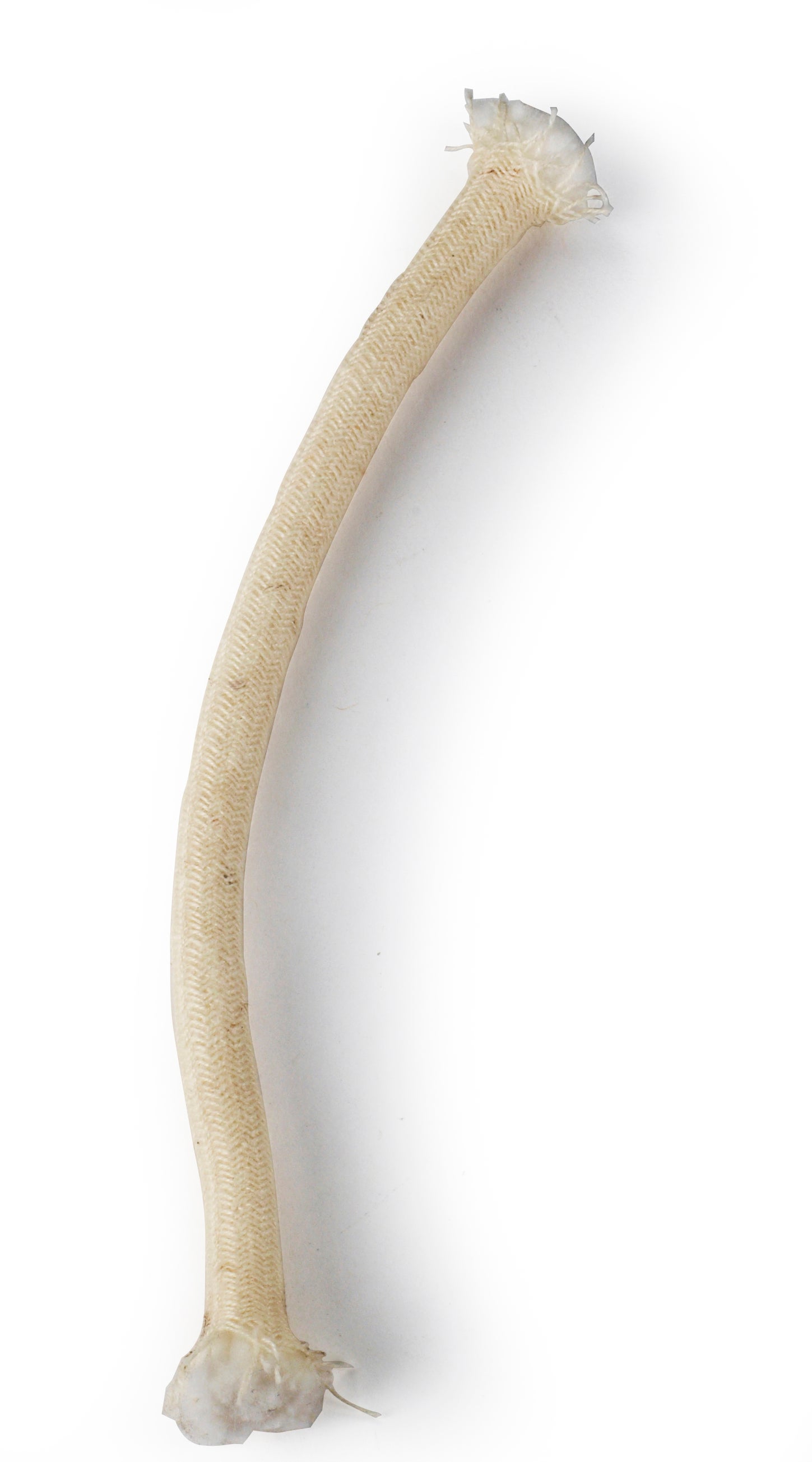 Wick, for Alcohol Burner