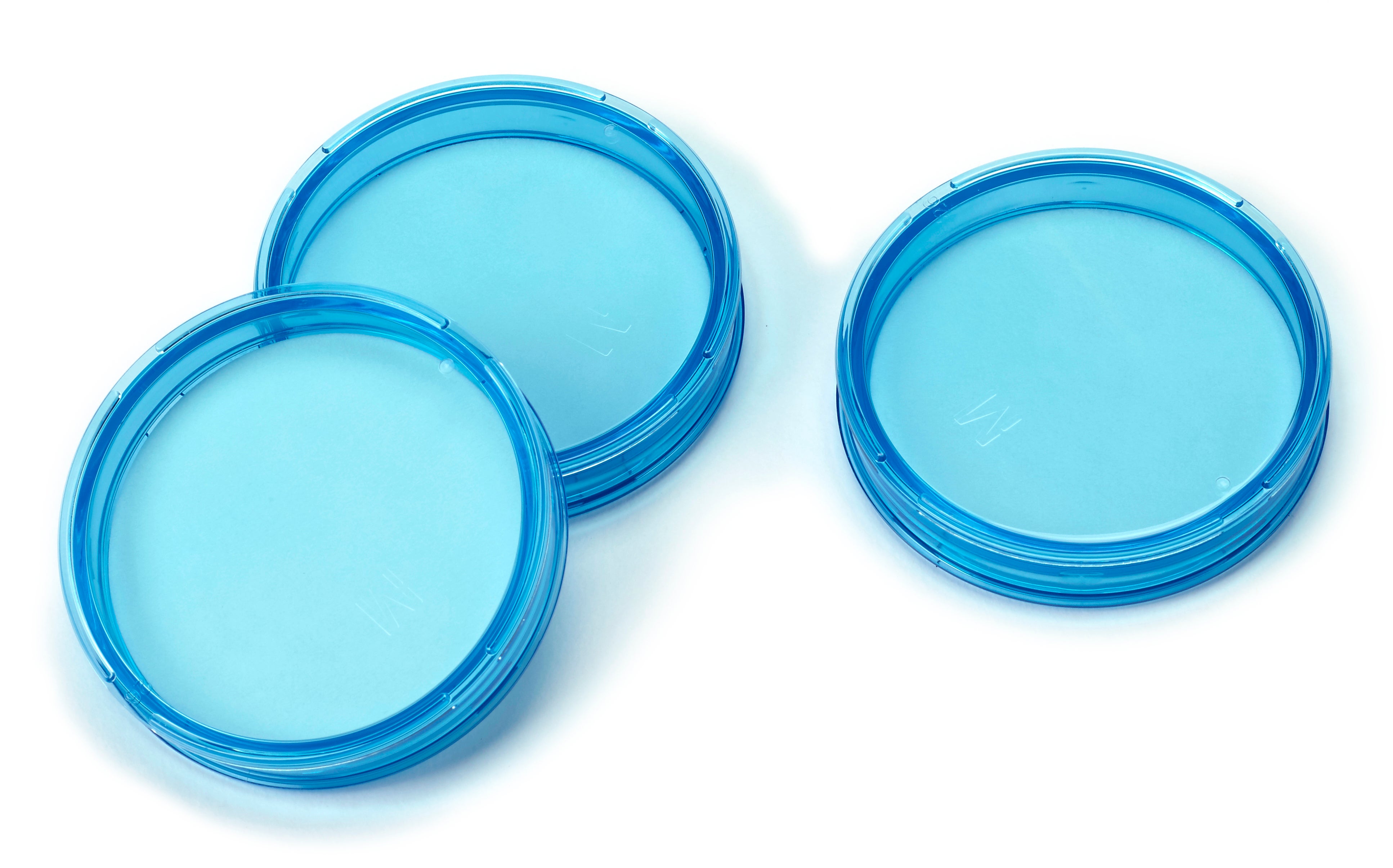EO Sterilized Petri Dish with Pad