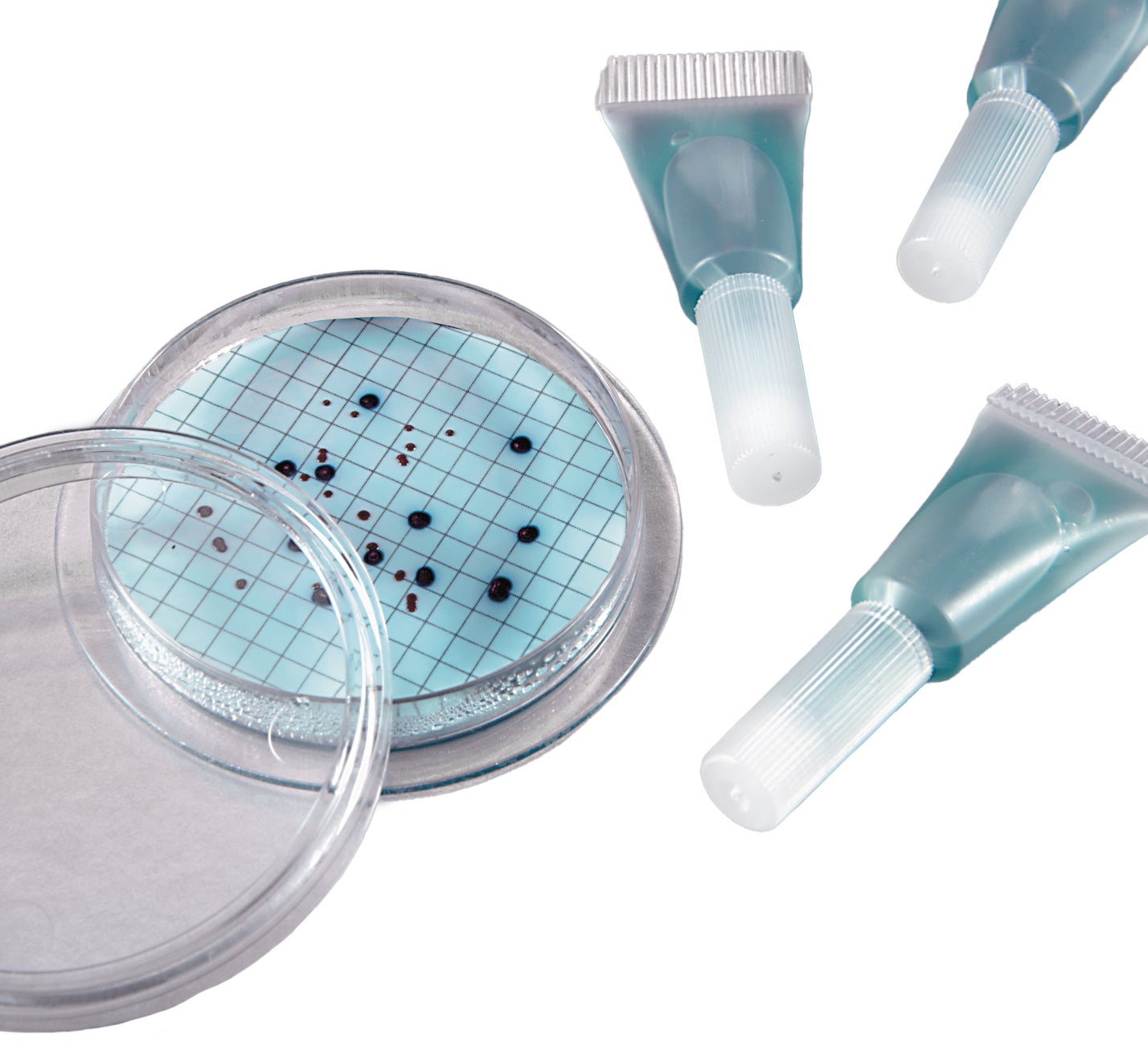 m-ColiBlue24® Broth, Plastic Ampules, 50/pk