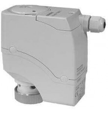 SSB31.1 | BPZ:SSB31.1