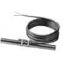 ARG22.1 | BPZ:ARG22.1